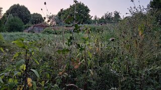 Terreno em Santa Comba Dão