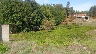Land for sale in Mortágua, Portugal — €44,500