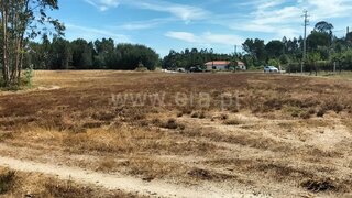 Terreno para venda em Carregal do Sal, Portugal — 110 000 €