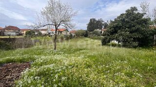 Land for sale in Santa Comba Dão, Portugal — €35,000