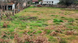 Land for sale in Santa Comba Dão, Portugal — €18,075