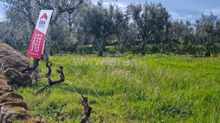 Land for sale in Sátão, Portugal — €32,080