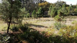 Terreno em Vila Nova de Paiva