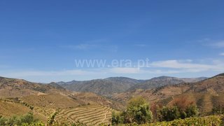 Land for sale in São João da Pesqueira, Portugal — €118,000