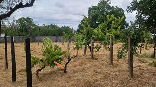 Land for sale in Viseu, Portugal — €66,000