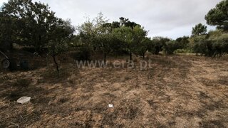 Terreno para venda em Nelas, Portugal — 15 000 €