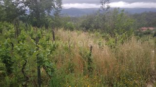 Land for sale in Tondela, Portugal — €38,500