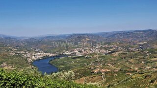 Land for sale in Lamego, Portugal — €175,000