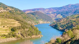 Land for sale in Resende, Portugal