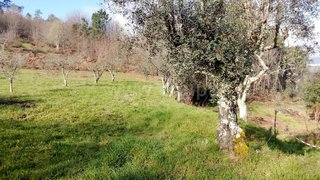 Land for sale in Mangualde, Portugal — €14,000