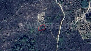 Terreno em Tabuaço