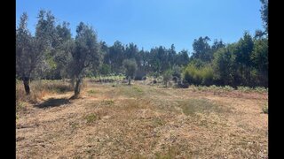 Land for sale in Carregal do Sal, Portugal — €25,000