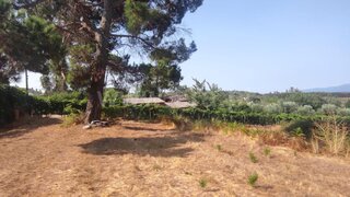 Terreno em Viseu · 3300 m² · 72 500 €