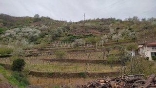 Land for sale in Lamego, Portugal — €35,000