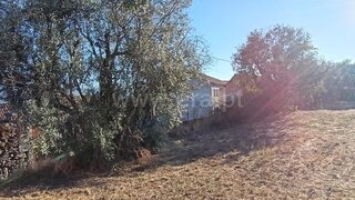 Land for sale in Mangualde, Portugal — €10,000