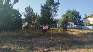Land for sale in Santa Comba Dão, Portugal — €50,000