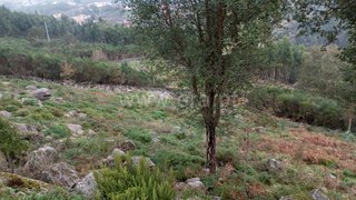 Land for sale in Arcos de Valdevez, Portugal — €10,000