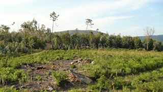 Terreno para venda em Ponte de Lima, Portugal — 7500 €