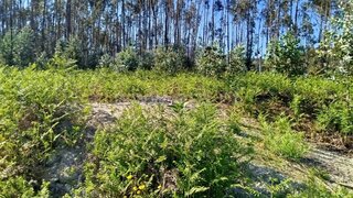 Land for sale in Ponte de Lima, Portugal — €38,000
