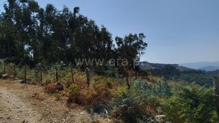 Land for sale in Ponte de Lima, Portugal — €50,000