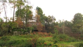 Land for sale in Ponte de Lima, Portugal — €75,000