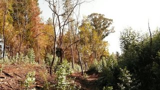 Terreno para venda em Ponte de Lima, Portugal — 9000 €