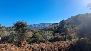 Land for sale in Ponte de Lima, Portugal — €3,900