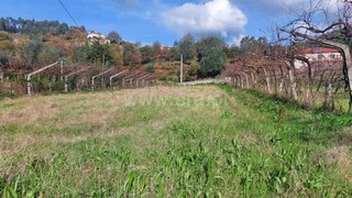 Land for sale in Ponte de Lima, Portugal — €14,500