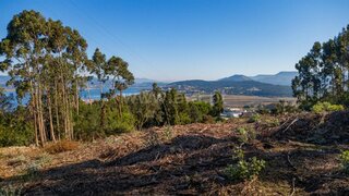 Land for sale in Caminha, Portugal — €350,000