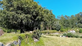 Land for sale in Paredes de Coura, Portugal — €9,000