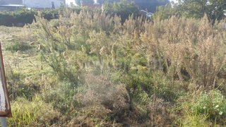Terreno em Viana do Castelo