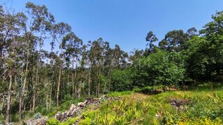 Terreno em Viana do Castelo