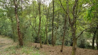 Terreno para venda em Ponte de Lima, Portugal — 80 000 €