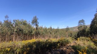 Terreno para venda em Ponte de Lima, Portugal — 9800 €