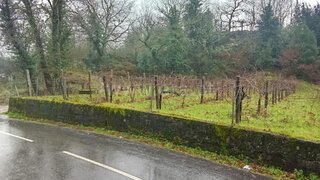 Land for sale in Arcos de Valdevez, Portugal