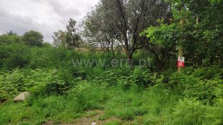 Terreno de 6706 m² em Viana do Castelo