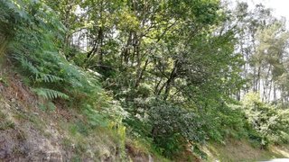 Terreno para venda em Ponte de Lima, Portugal — 15 000 €