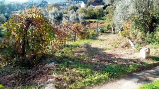 Land for sale in Ponte de Lima, Portugal — €9,500