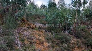Land for sale in Viana do Castelo, Portugal — €53,000