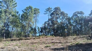Land for sale in Viana do Castelo, Portugal — €60,000