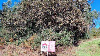 Land for sale in Arcos de Valdevez, Portugal — €77,500