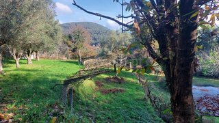 Land for sale in Ponte de Lima, Portugal — €2,900
