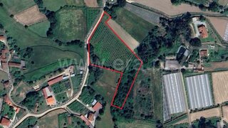 Land for sale in Valença, Portugal