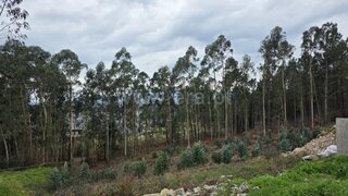 Terreno de 1800 m² em Viana do Castelo