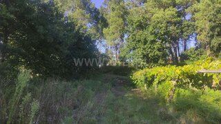 Land for sale in Vila Nova de Cerveira, Portugal — €60,000