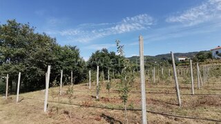 Terreno para venda em Ponte de Lima, Portugal — 26 000 €