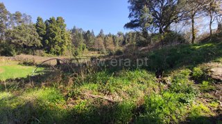 Terreno · 350 m² · 1100 €
