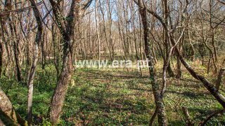 Land for sale in Vila Nova de Cerveira, Portugal — €7,900