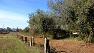 Land for sale in Viana do Castelo, Portugal — €40,000