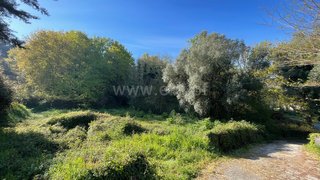 Land for sale in Valença, Portugal — €15,000